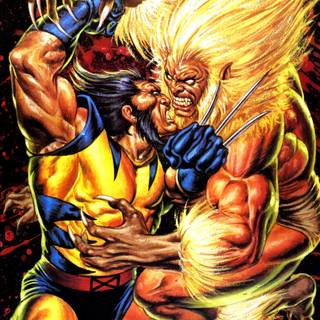 Wolverine vs Sabretooth wallpaper