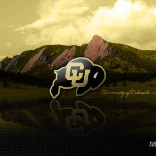 Colorado Buffaloes wallpaper