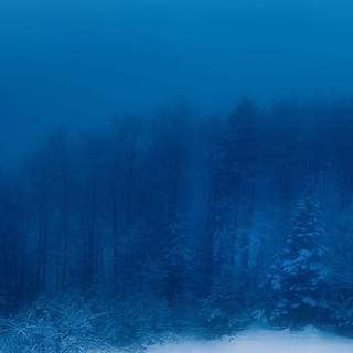Blue snow wallpaper
