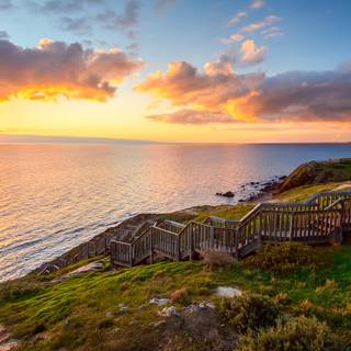 Conservation wallpaper