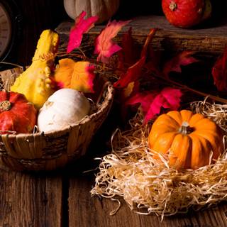 Autumn straw wallpaper