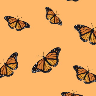 Butterfly pattern wallpaper