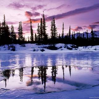 Winter computer screen wallpaper