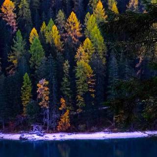 Autumn lake iPhone wallpaper