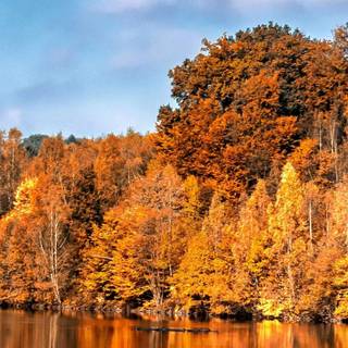 Autumn lake iPhone wallpaper