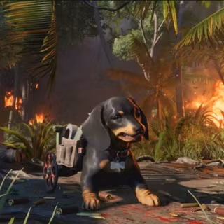 Far Cry 6 HD wallpaper