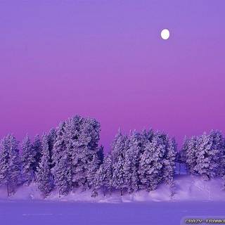 Snow scene wallpaper free