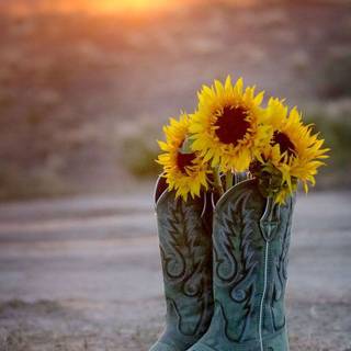 Women autumn boots wallpaper