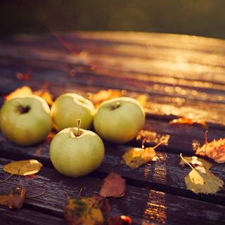 Food autumn wallpaper