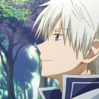 Zen Wistalia wallpaper