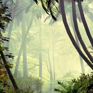 Autumn jungle wallpaper