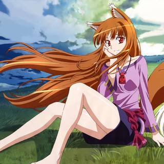 Ookami to Koushinryou wallpaper