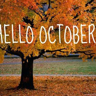Hello October wallpaper