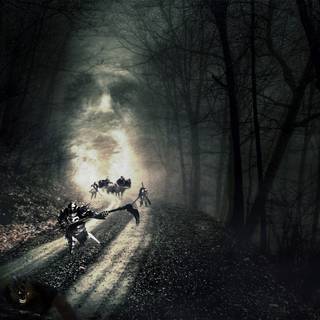 Horror forest wallpaper