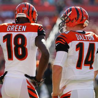 Andy Dalton wallpaper