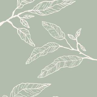 Aesthetic sage green wallpaper