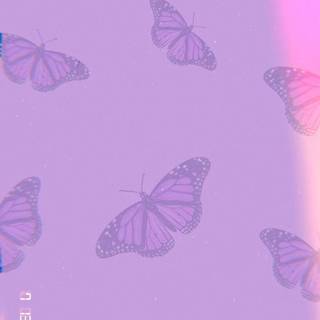 Purple aesthetic butterfly wallpaper