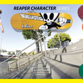 Blind Skateboards wallpaper