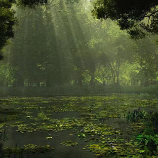 Wetland wallpaper