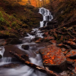 Autumn iPhone 11 Pro wallpaper