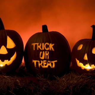 Halloween preschool wallpaper