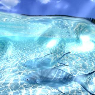 Flowing water wallpaper