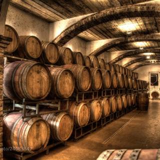 Wine cellar wallpaper