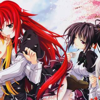 Rias and Akeno wallpaper