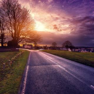 Aesthetic road with trees wallpaper