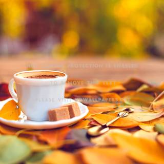 Fall coffee wallpaper