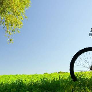 Bicycle desktop wallpaper