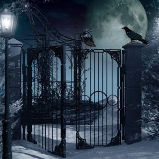 Winter night wallpaper