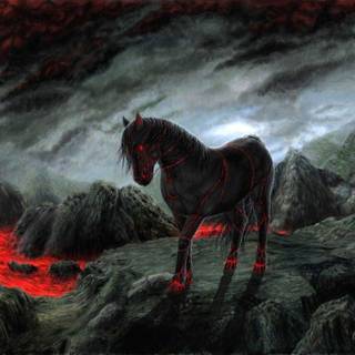 Black horse wallpaper