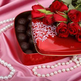 Rose flower wallpaper images