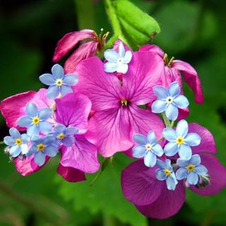 Free background pictures for my computer