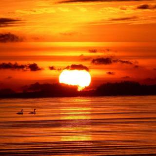 Sunset beaches wallpaper