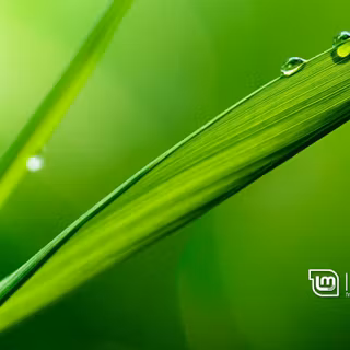 Mint Linux wallpaper