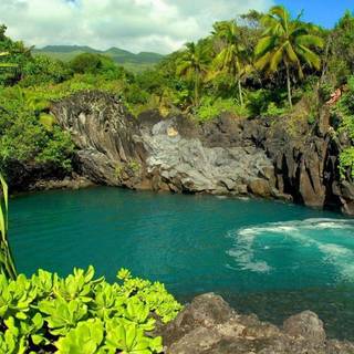 HD wallpaper natures