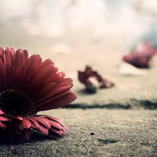 Vintage flowers wallpaper