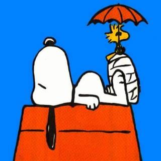 Snoopy woodstock pictures