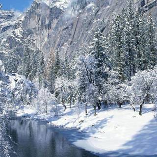 Free winter scene wallpaper