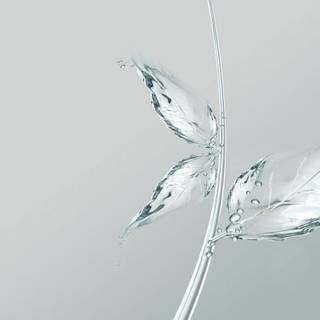 Toshiba desktop backgrounds