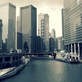 Wallpaper Chicago