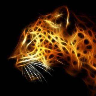 Leopard wallpaper