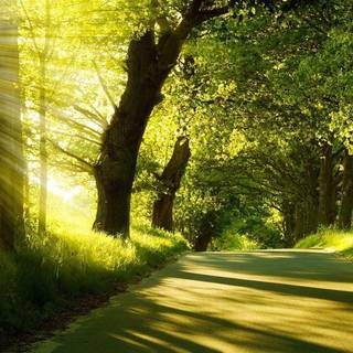 Summer wallpaper 1920x1080