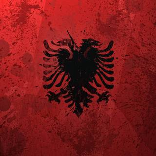 Albanian flag wallpaper