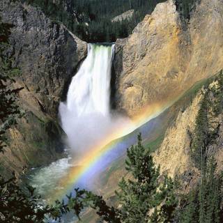 Yellowstone wallpaper