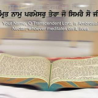 Wallpapers of sikhism