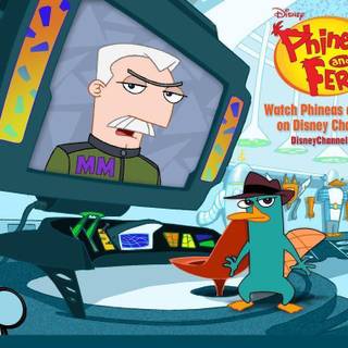 Perry the Platypus wallpaper