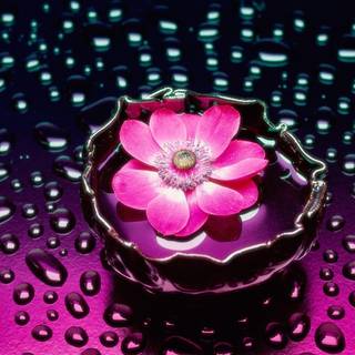 Pink flower wallpaper
